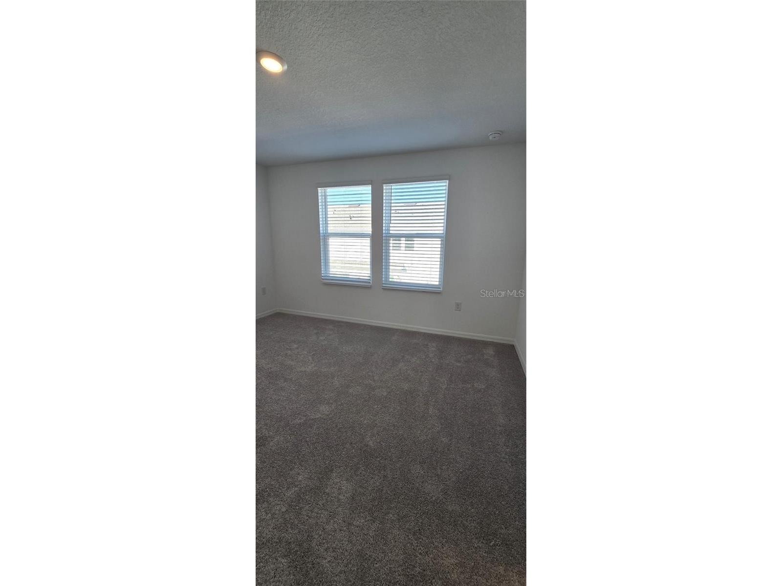 2978 Canary Avenue Davenport FL 33837 S5137311 image12