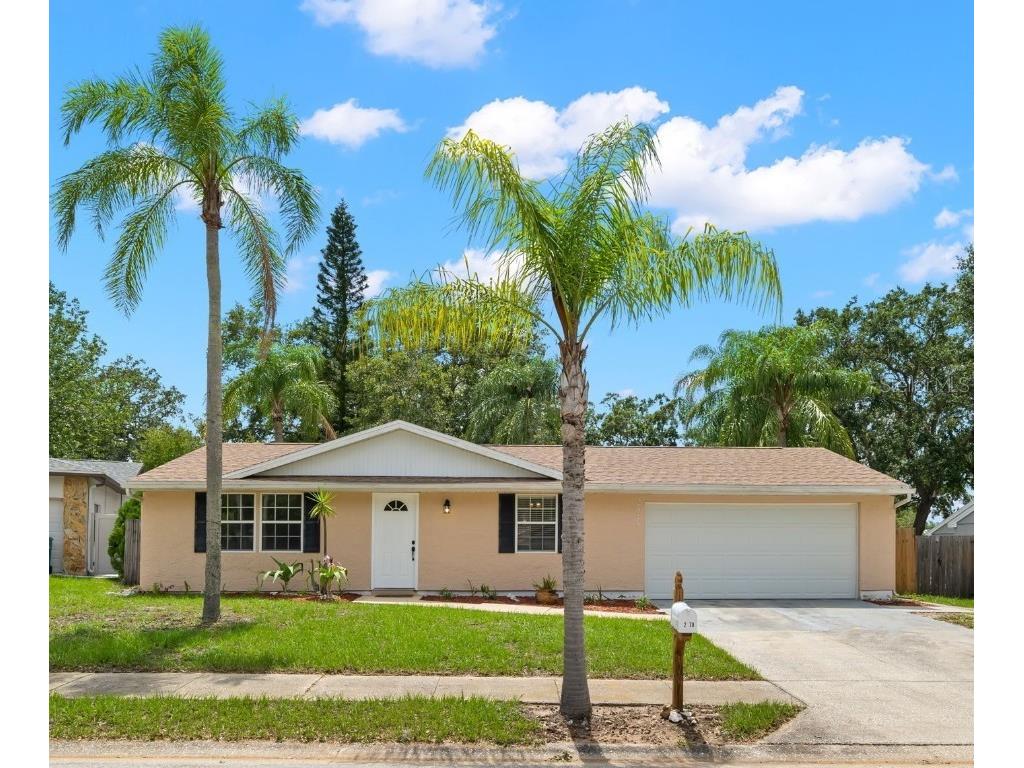 2978 Hanna Court Palm Harbor FL 34684 U8204983 image1