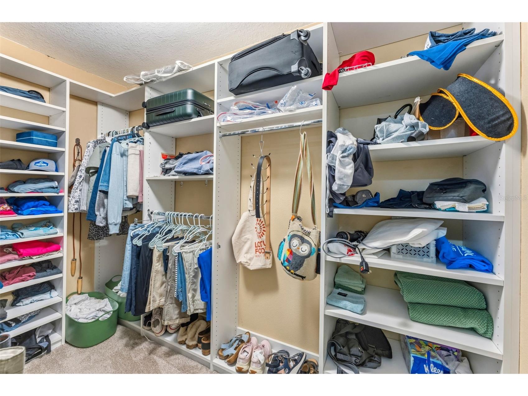 2979 W Knights Avenue Tampa FL 33611 TB8496137 image15