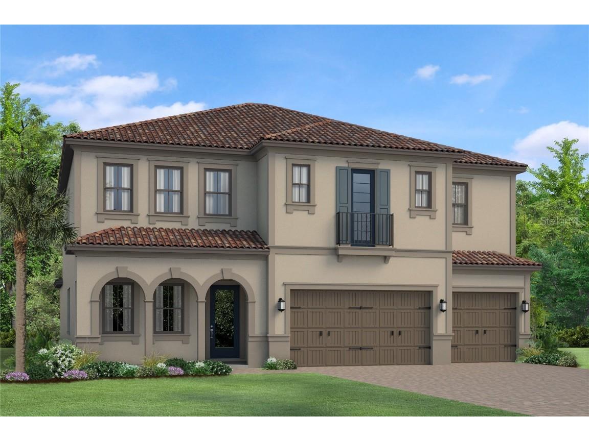 29795 Picana Lane Wesley Chapel FL 33543 T3407180 image1