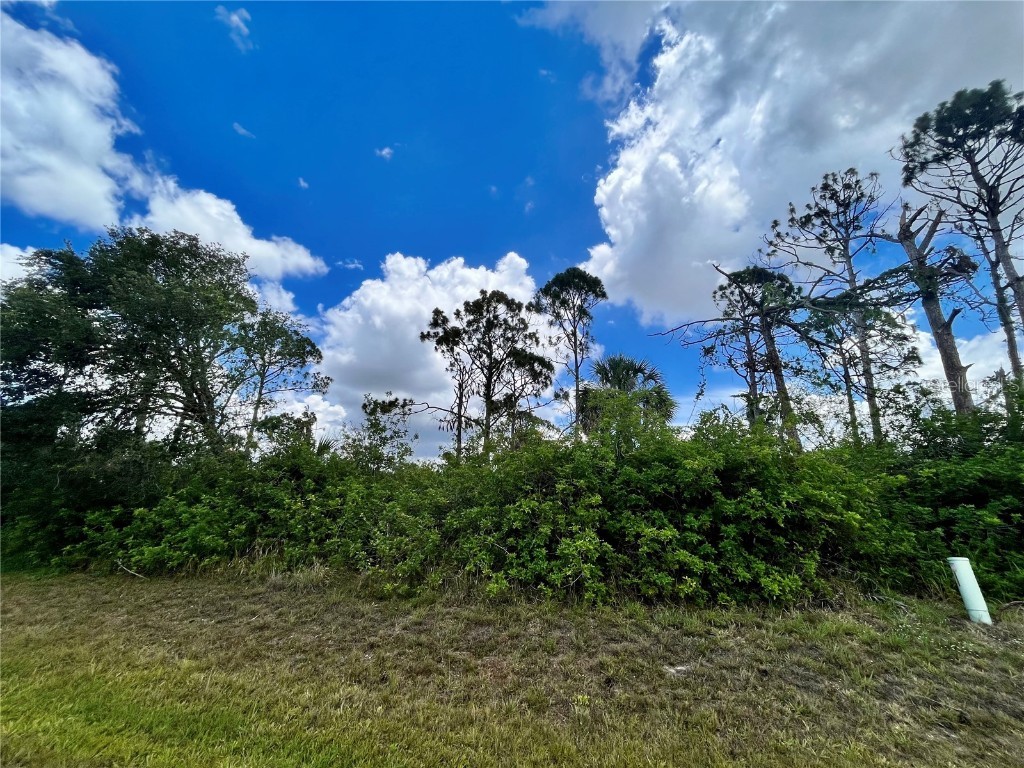 298 Antis Drive Rotonda West FL 33947 D6130806 image1
