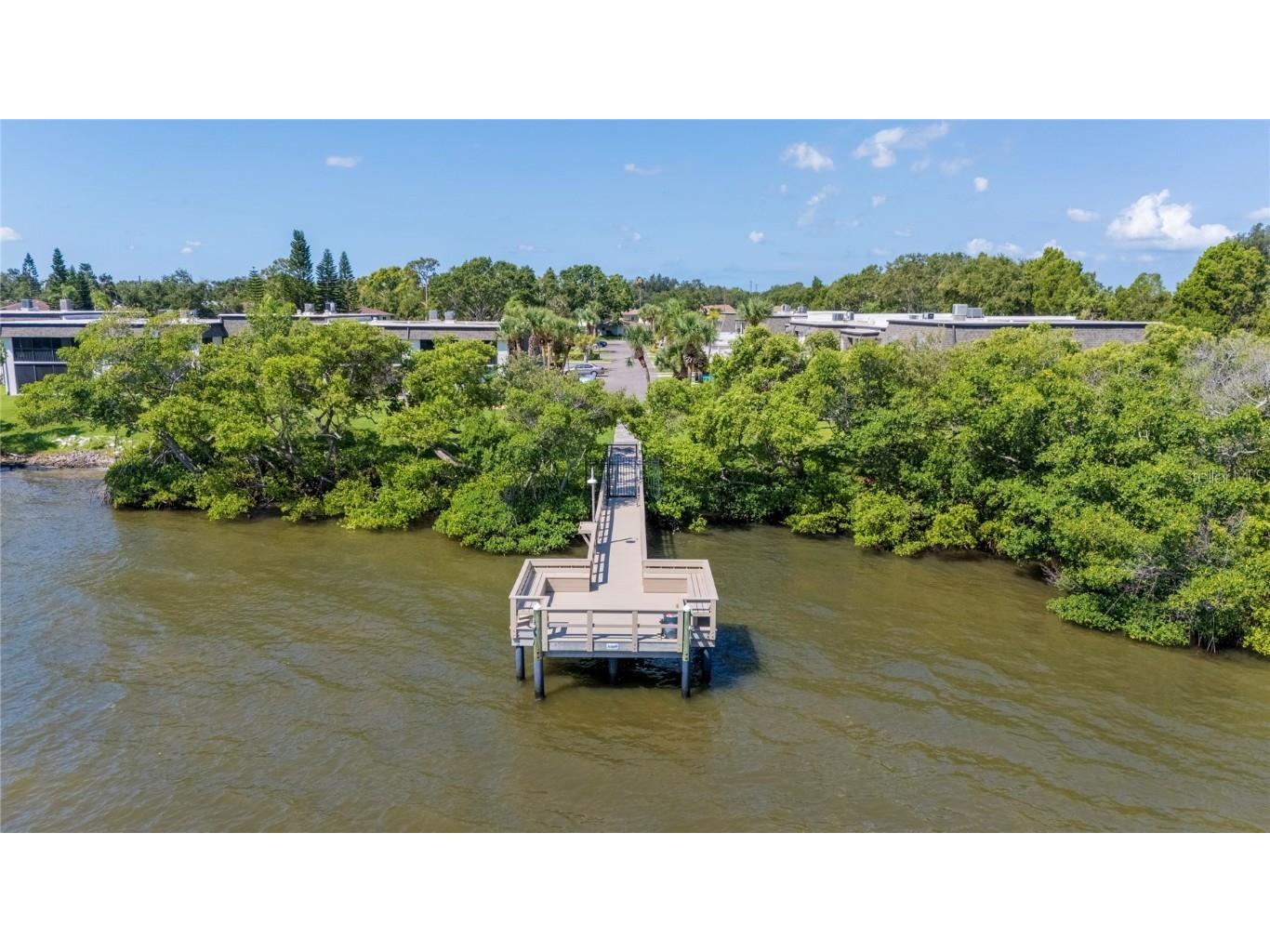 2980 Haines Bayshore Road #105 Clearwater FL 33760 - OLD TAMPA BAY TB8399679 image48