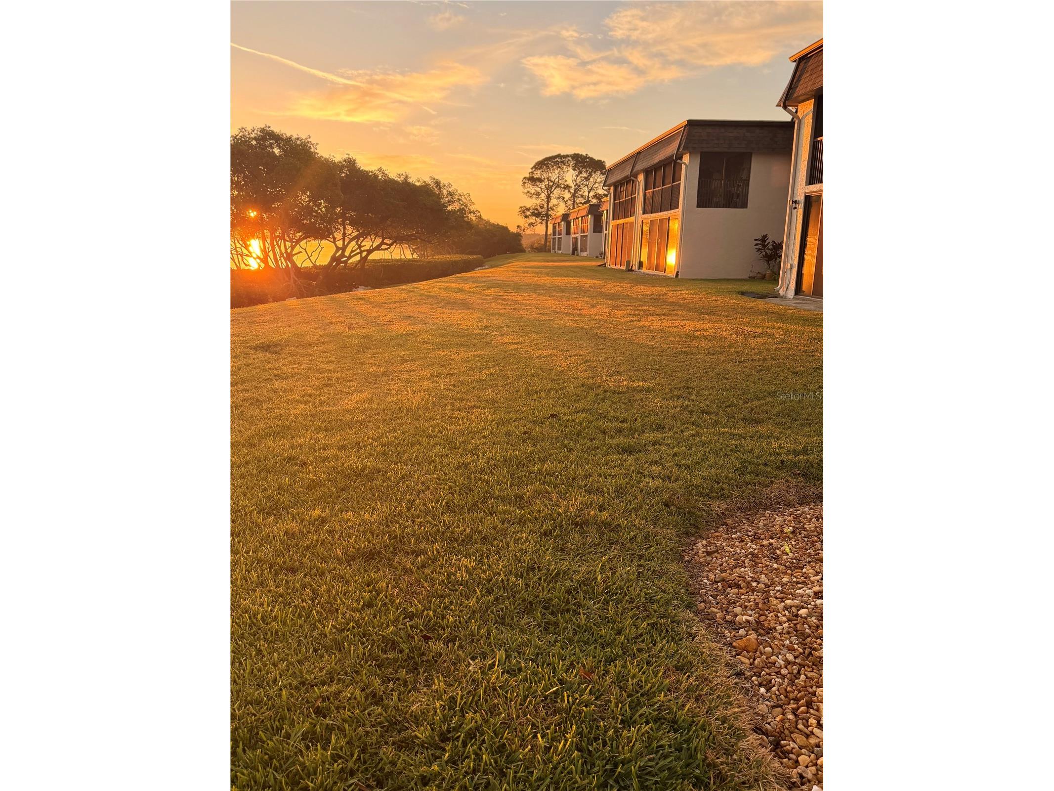 2980 Haines Bayshore Road #124 Clearwater FL 33760 W7882780 image4