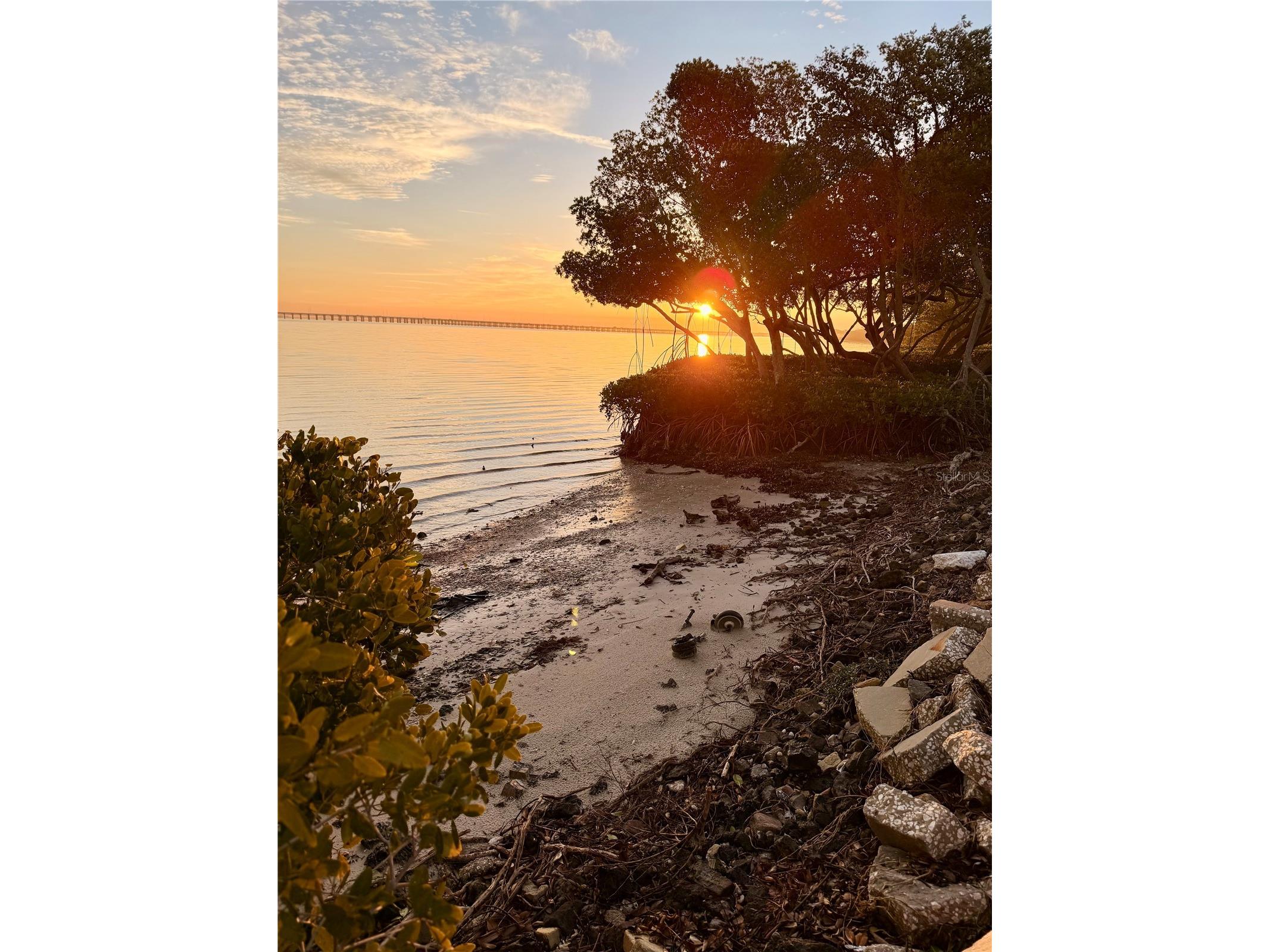 2980 Haines Bayshore Road #124 Clearwater FL 33760 W7882780 image5