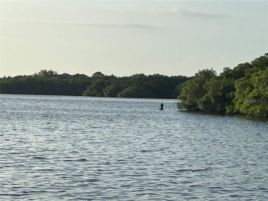 2980 Haines Bayshore Road #134 Clearwater FL 33760 - OLD TAMPA BAY TB8411287 image16