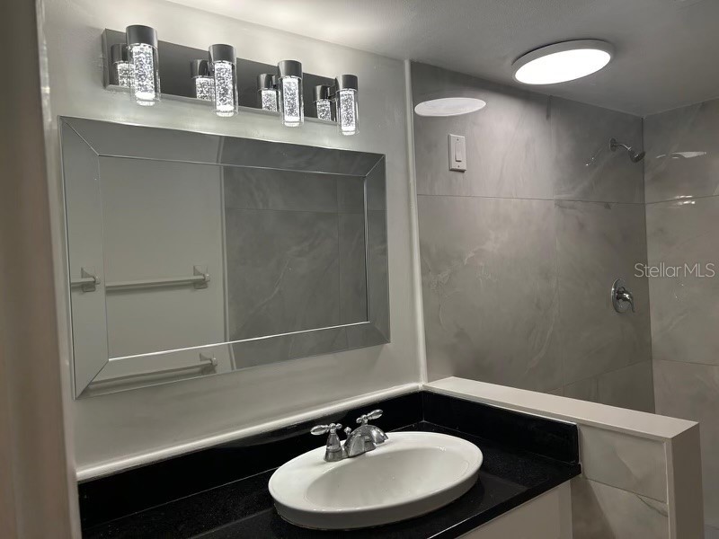 2980 Haines Bayshore Road #134 Clearwater FL 33760 - OLD TAMPA BAY TB8411287 image9