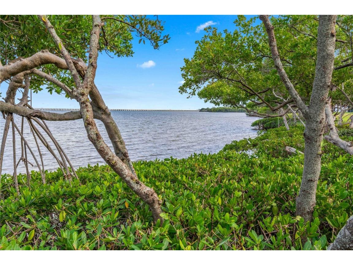 2980 Haines Bayshore Road #160 Clearwater FL 33760 - TAMPA BAY TB8453214 image48