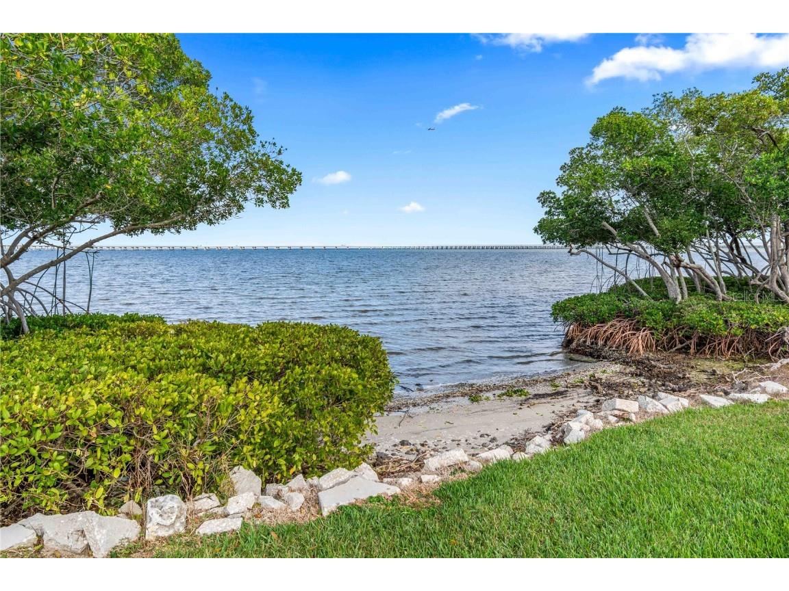 2980 Haines Bayshore Road #160 Clearwater FL 33760 - TAMPA BAY TB8453214 image50