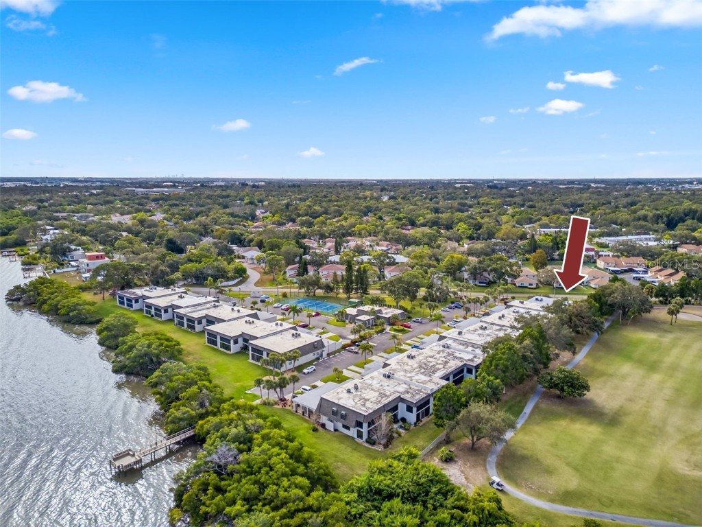 2980 Haines Bayshore Road #160 Clearwater FL 33760 - TAMPA BAY TB8453214 image57