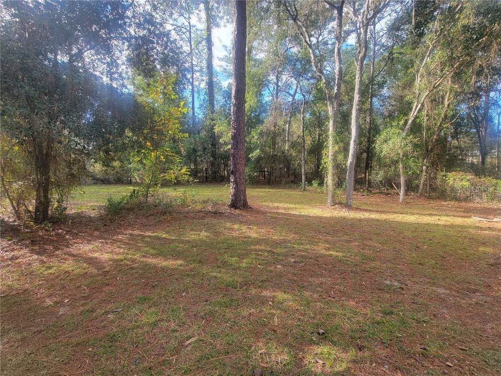 2980 SW 176th Avenue Dunnellon FL 34432 OM713352 image10
