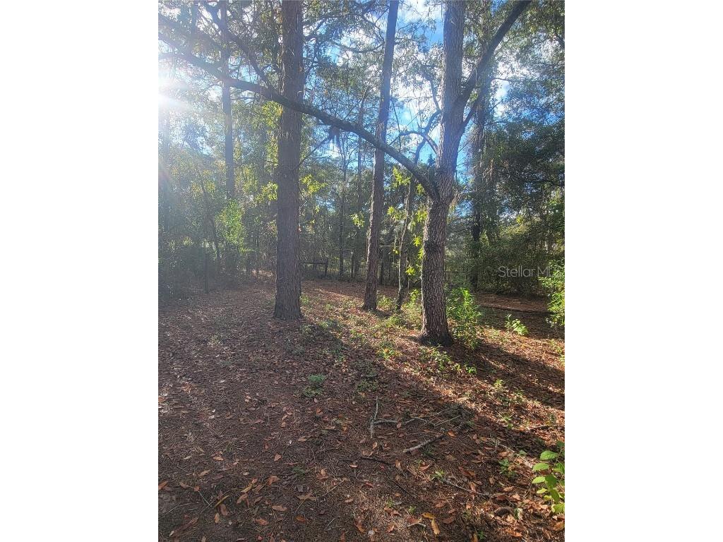 2980 SW 176th Avenue Dunnellon FL 34432 OM713352 image16