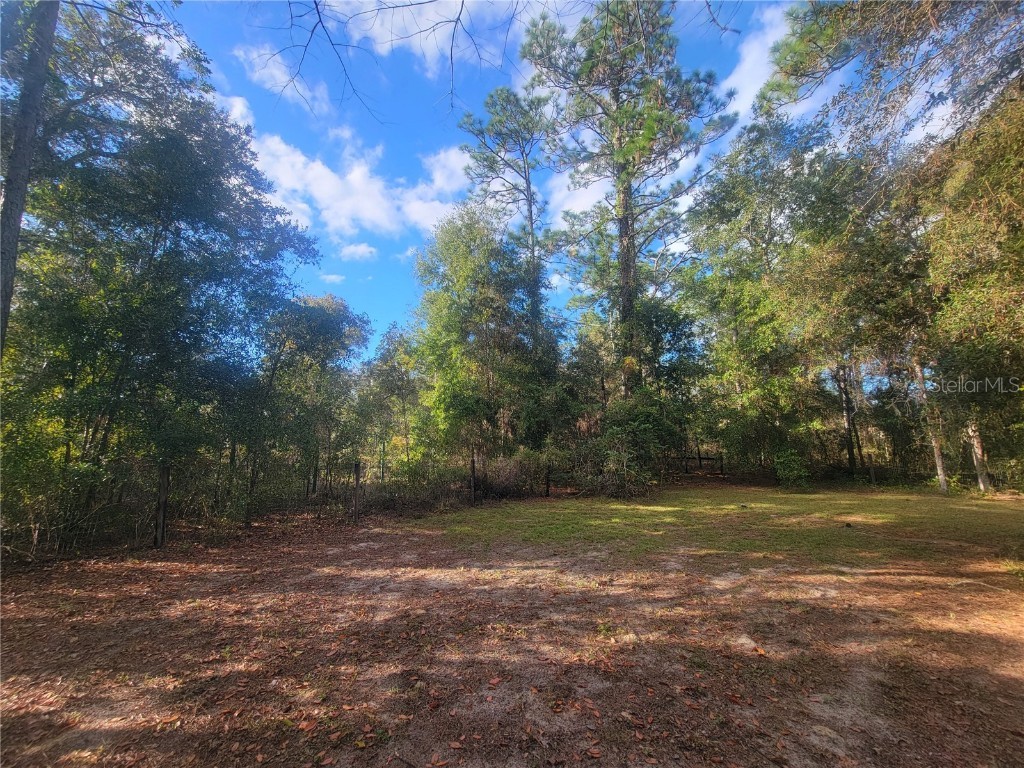 2980 SW 176th Avenue Dunnellon FL 34432 OM713352 image19