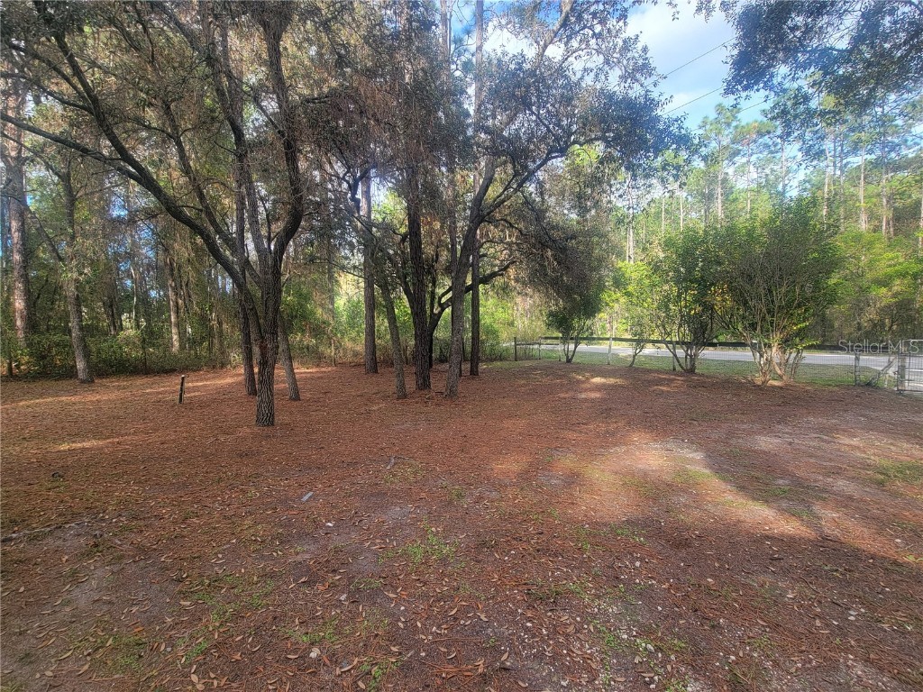 2980 SW 176th Avenue Dunnellon FL 34432 OM713352 image5