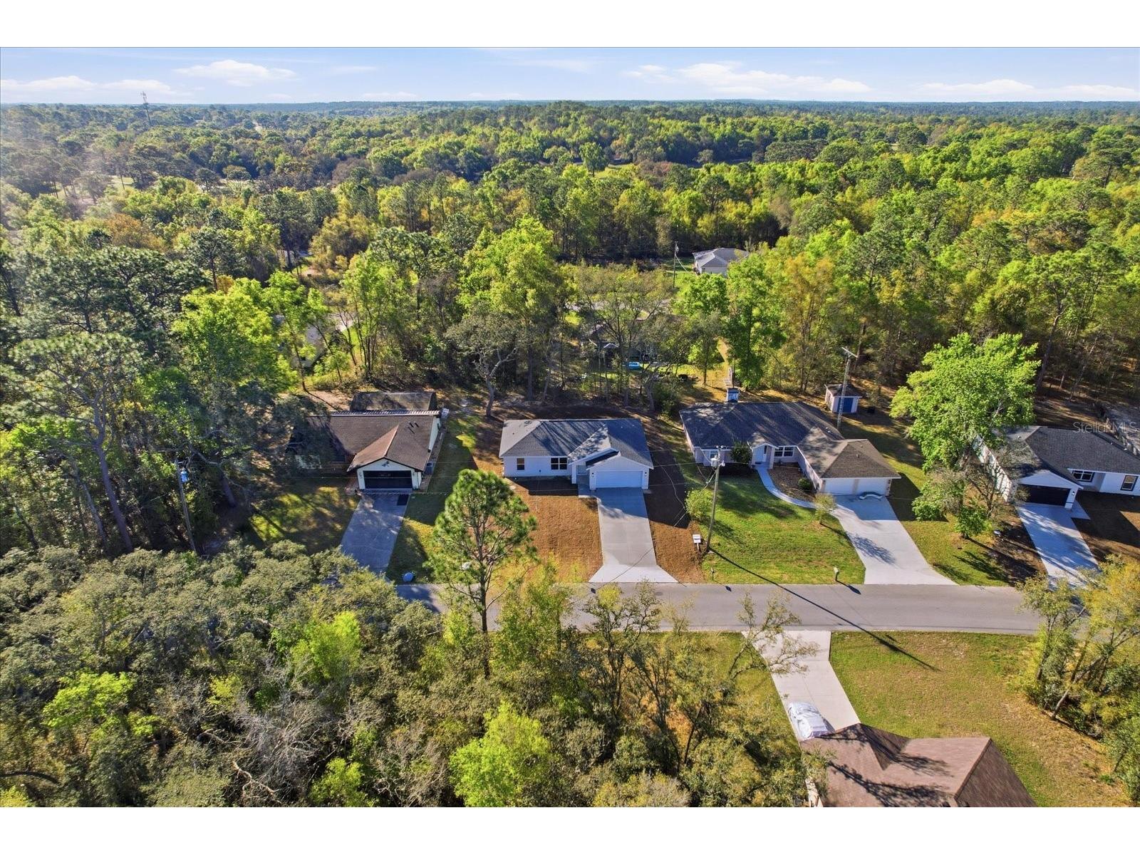2980 W Camilo Drive Citrus Springs FL 34434 OM718275 image43