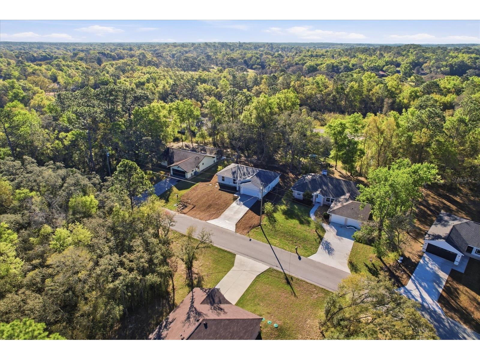 2980 W Camilo Drive Citrus Springs FL 34434 OM718275 image44