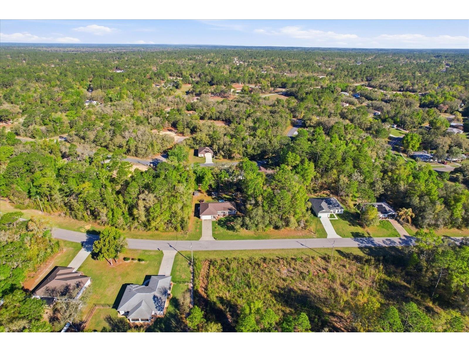 2980 W Camilo Drive Citrus Springs FL 34434 OM718275 image46