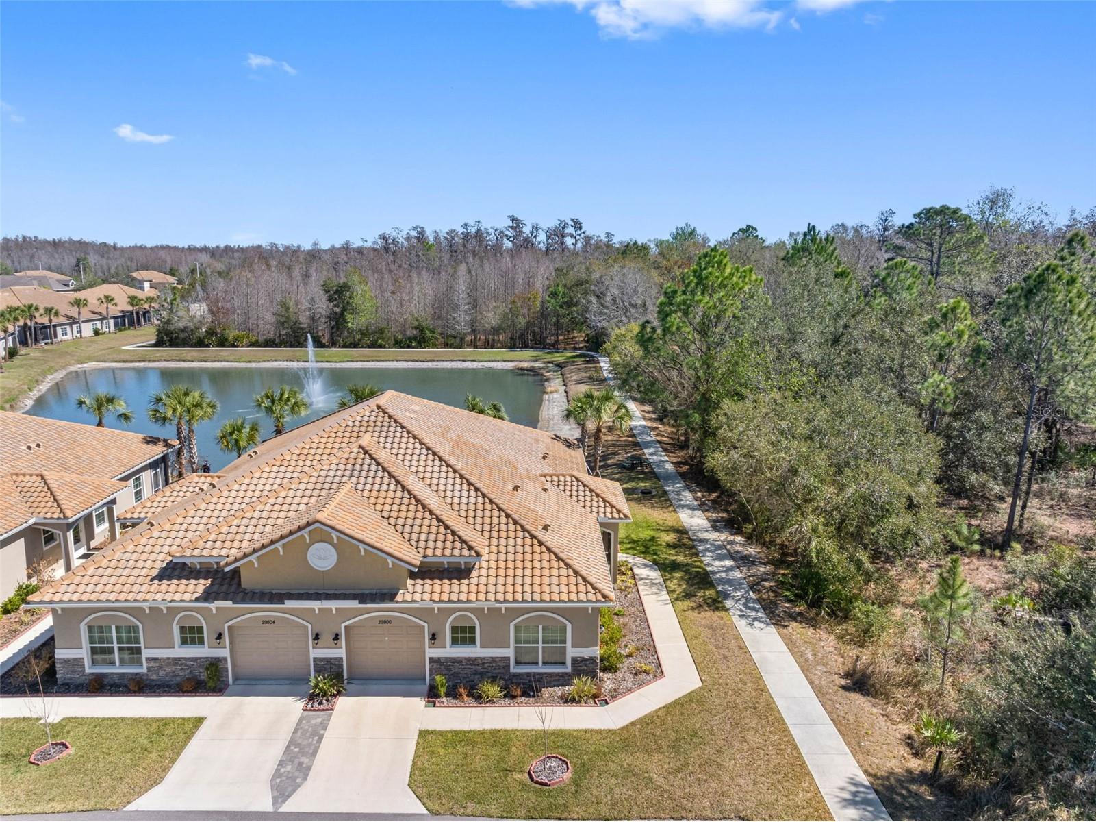 29800 Anand Vihar Drive Wesley Chapel FL 33543 TB8482025 image1