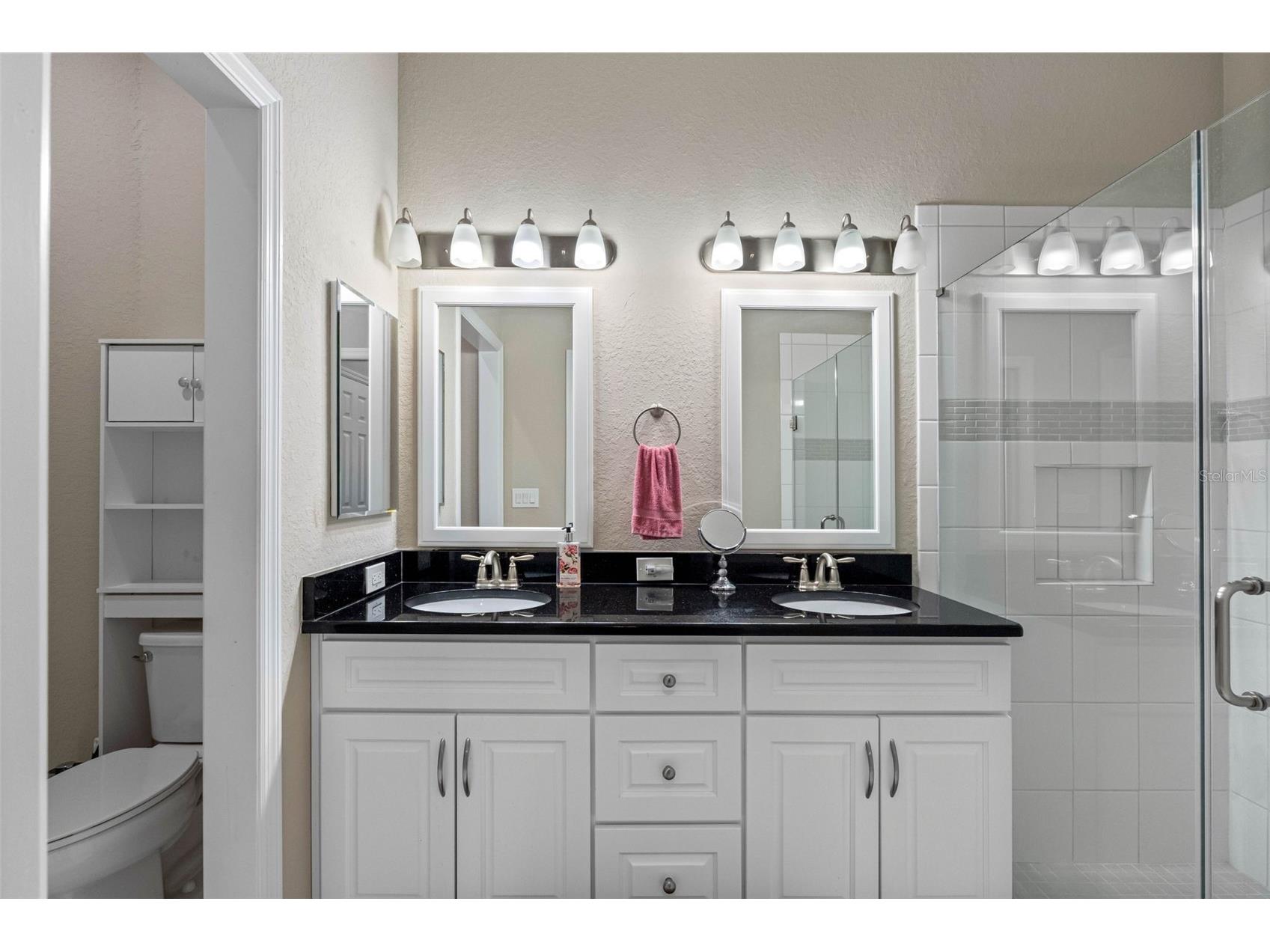 29800 Anand Vihar Drive Wesley Chapel FL 33543 TB8482025 image19