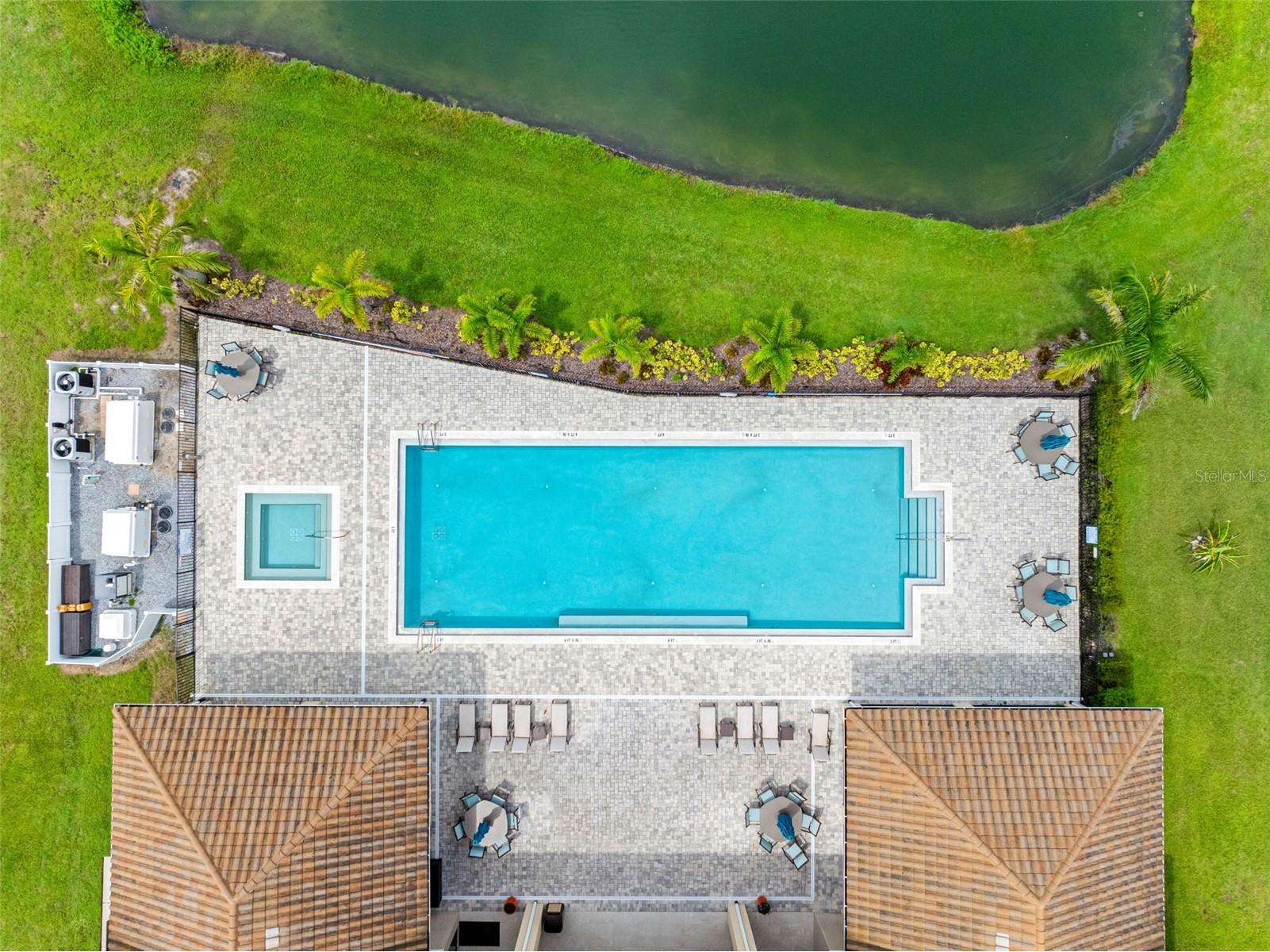 29800 Anand Vihar Drive Wesley Chapel FL 33543 TB8482025 image28