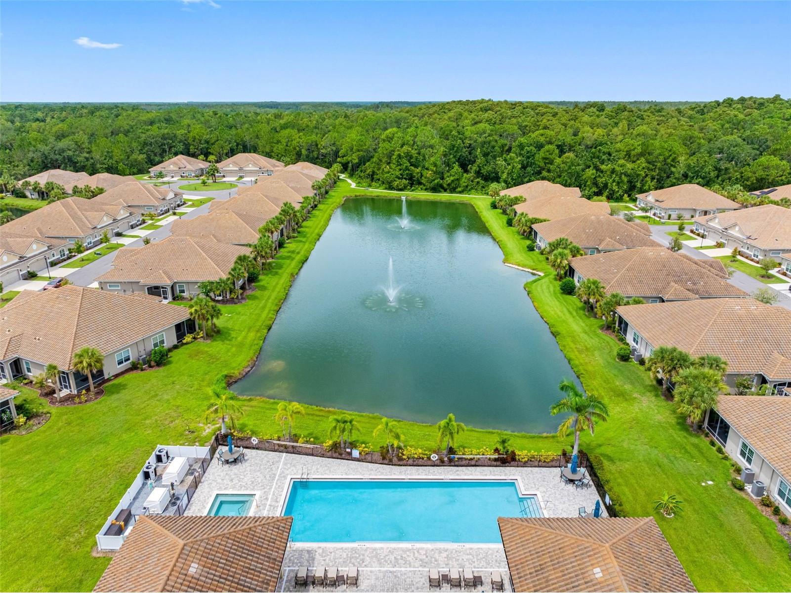 29800 Anand Vihar Drive Wesley Chapel FL 33543 TB8482025 image29