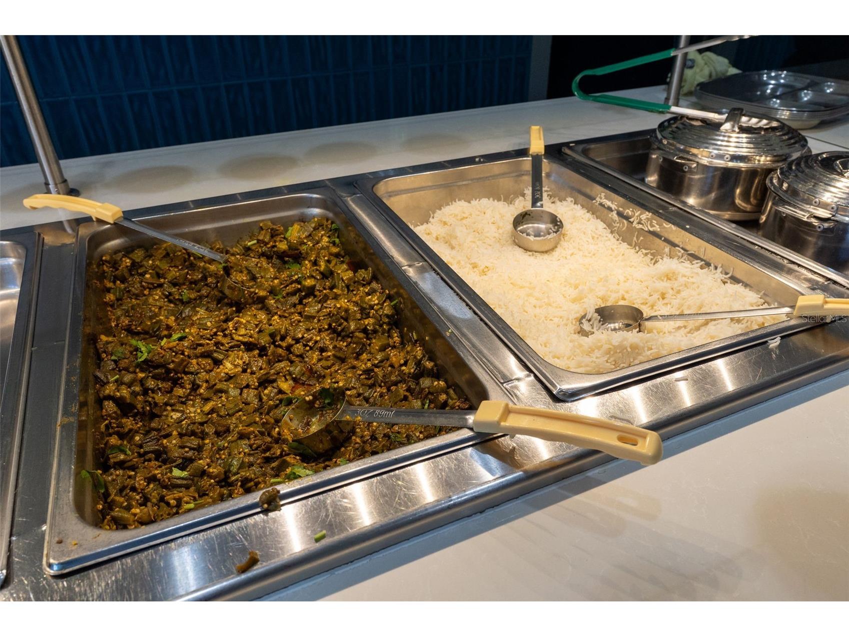 29800 Anand Vihar Drive Wesley Chapel FL 33543 TB8482025 image33