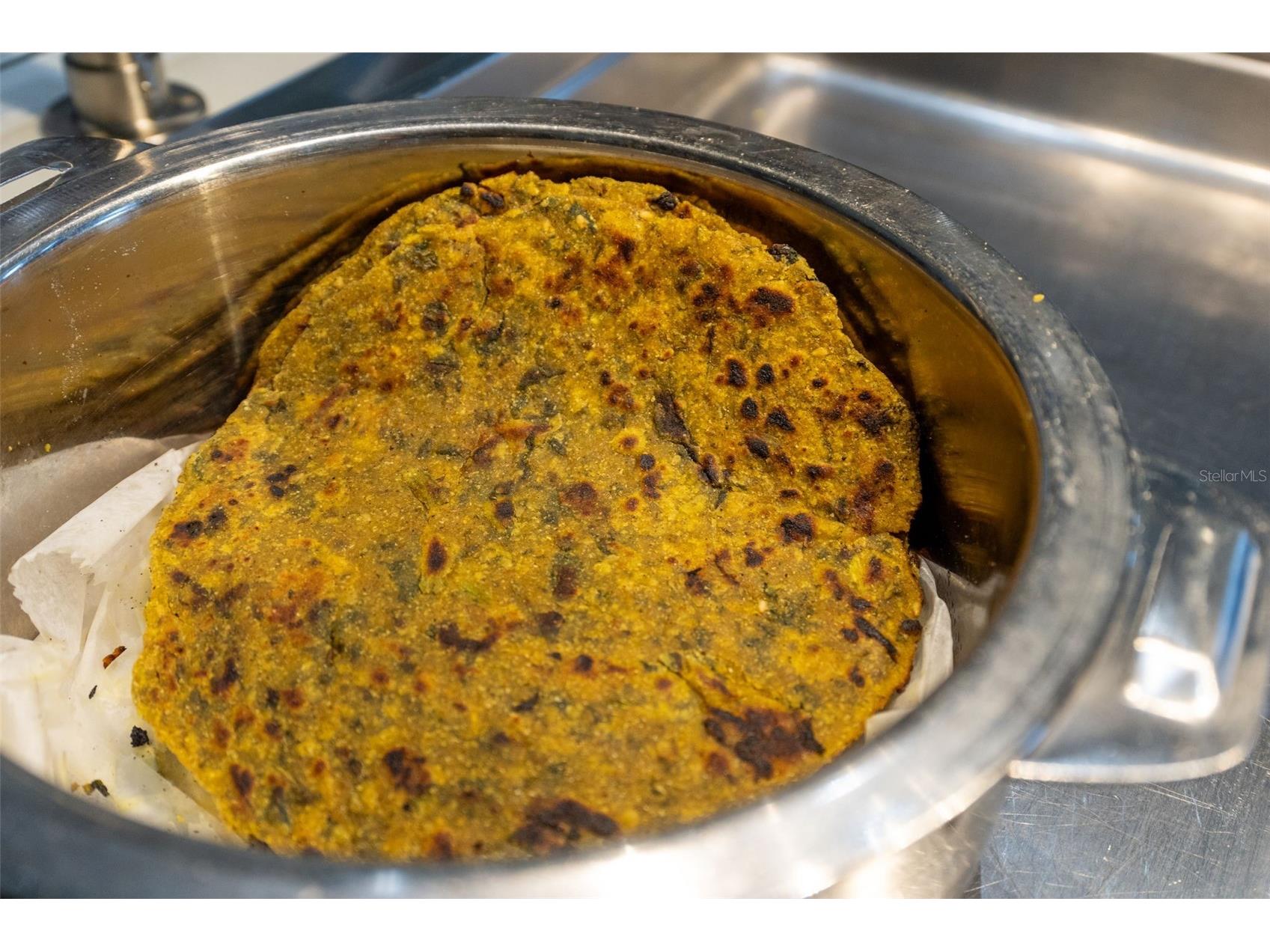 29800 Anand Vihar Drive Wesley Chapel FL 33543 TB8482025 image34