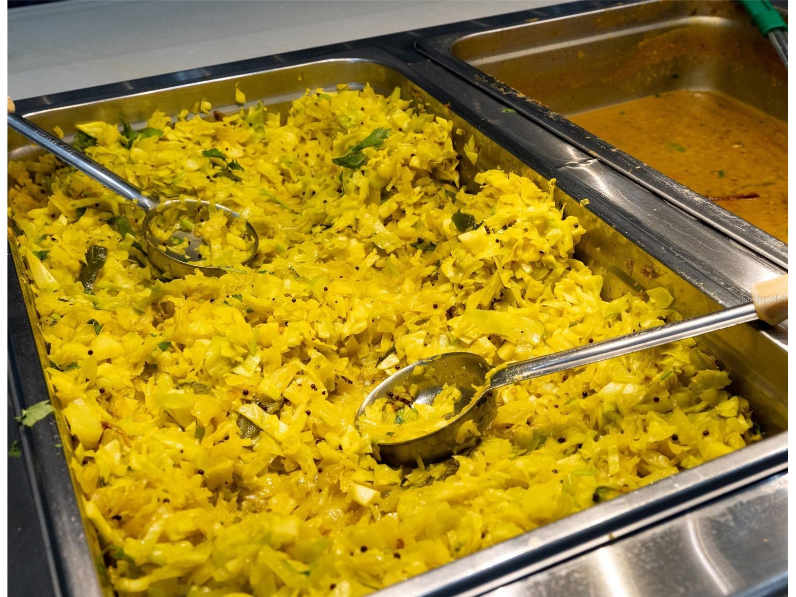 29800 Anand Vihar Drive Wesley Chapel FL 33543 TB8482025 image35