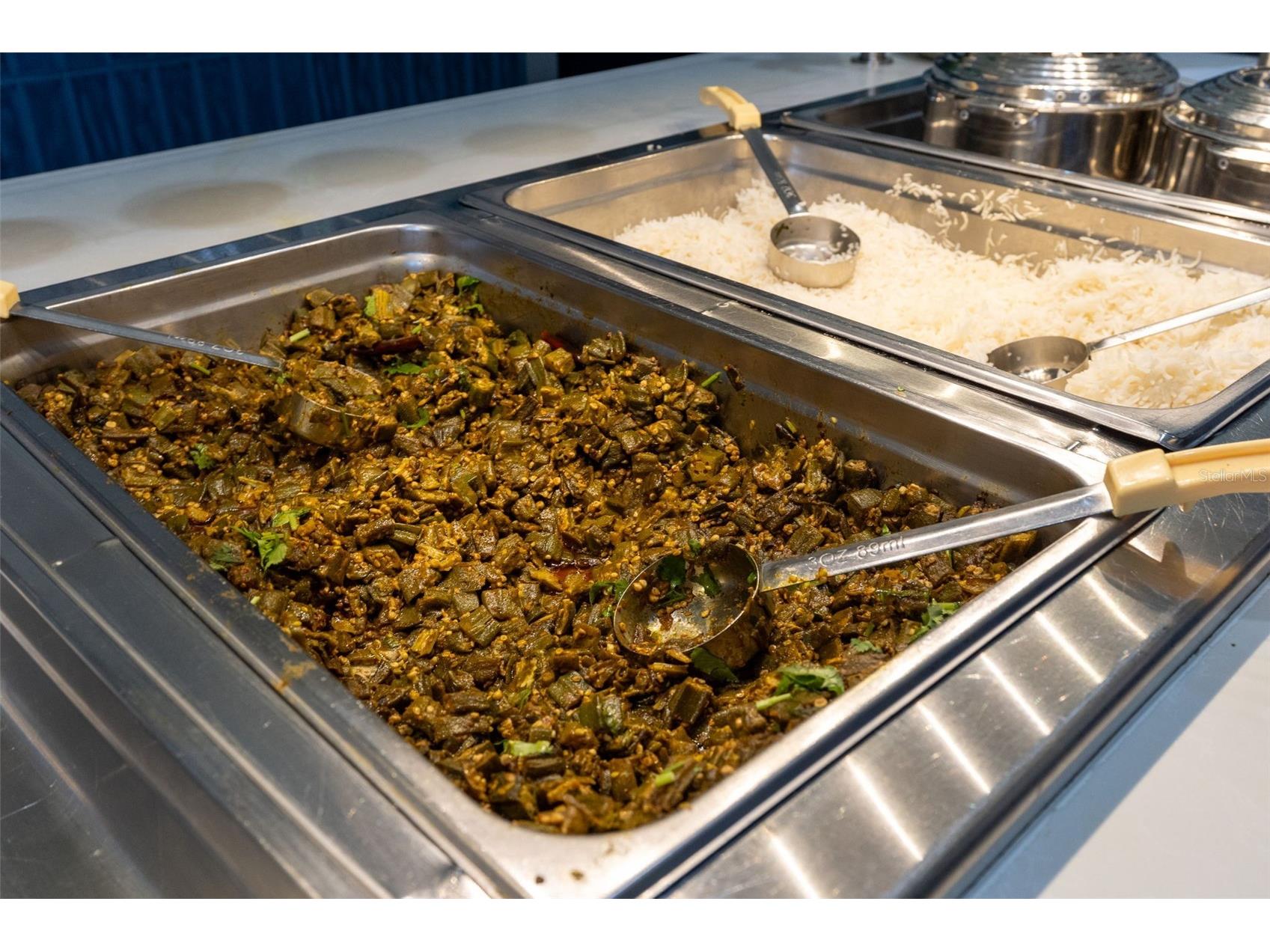 29800 Anand Vihar Drive Wesley Chapel FL 33543 TB8482025 image36