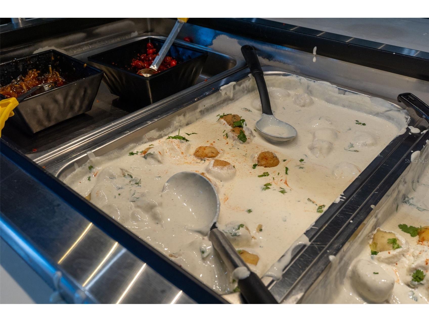 29800 Anand Vihar Drive Wesley Chapel FL 33543 TB8482025 image37