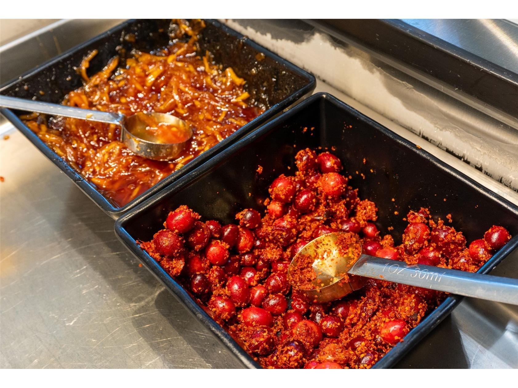 29800 Anand Vihar Drive Wesley Chapel FL 33543 TB8482025 image38