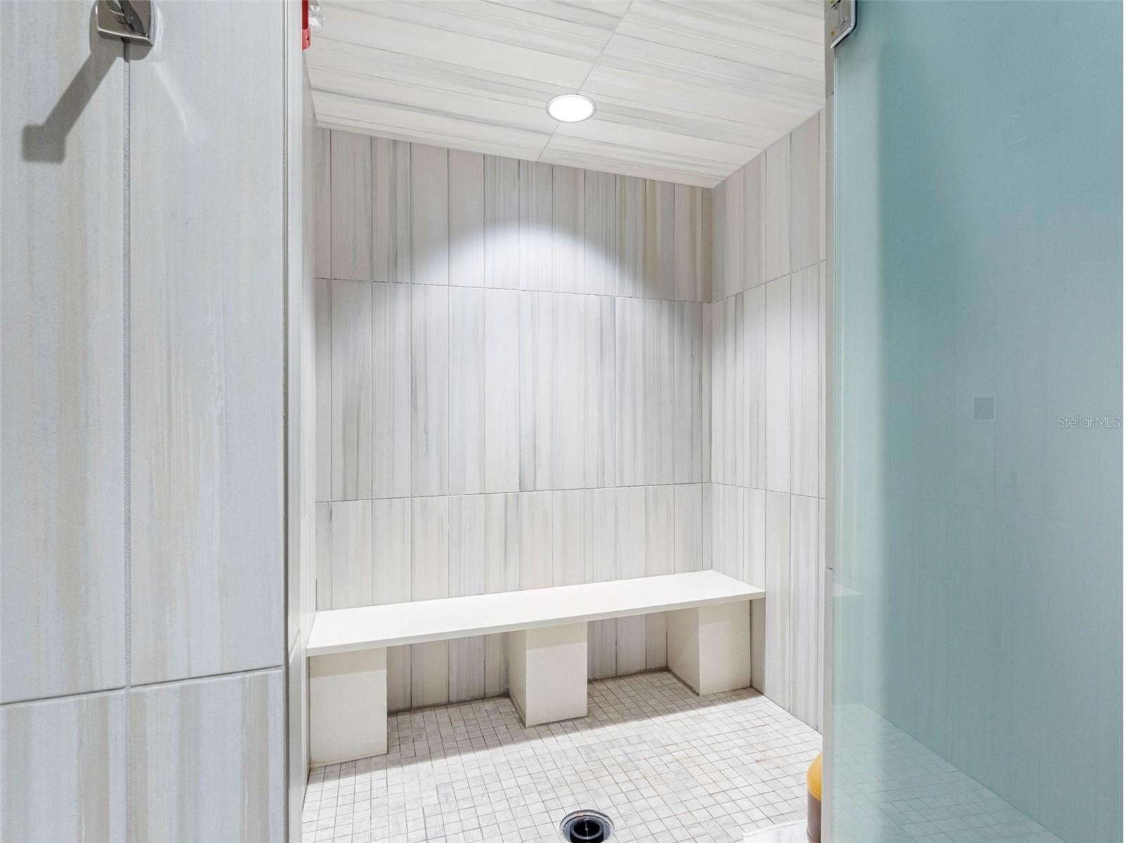 29800 Anand Vihar Drive Wesley Chapel FL 33543 TB8482025 image45