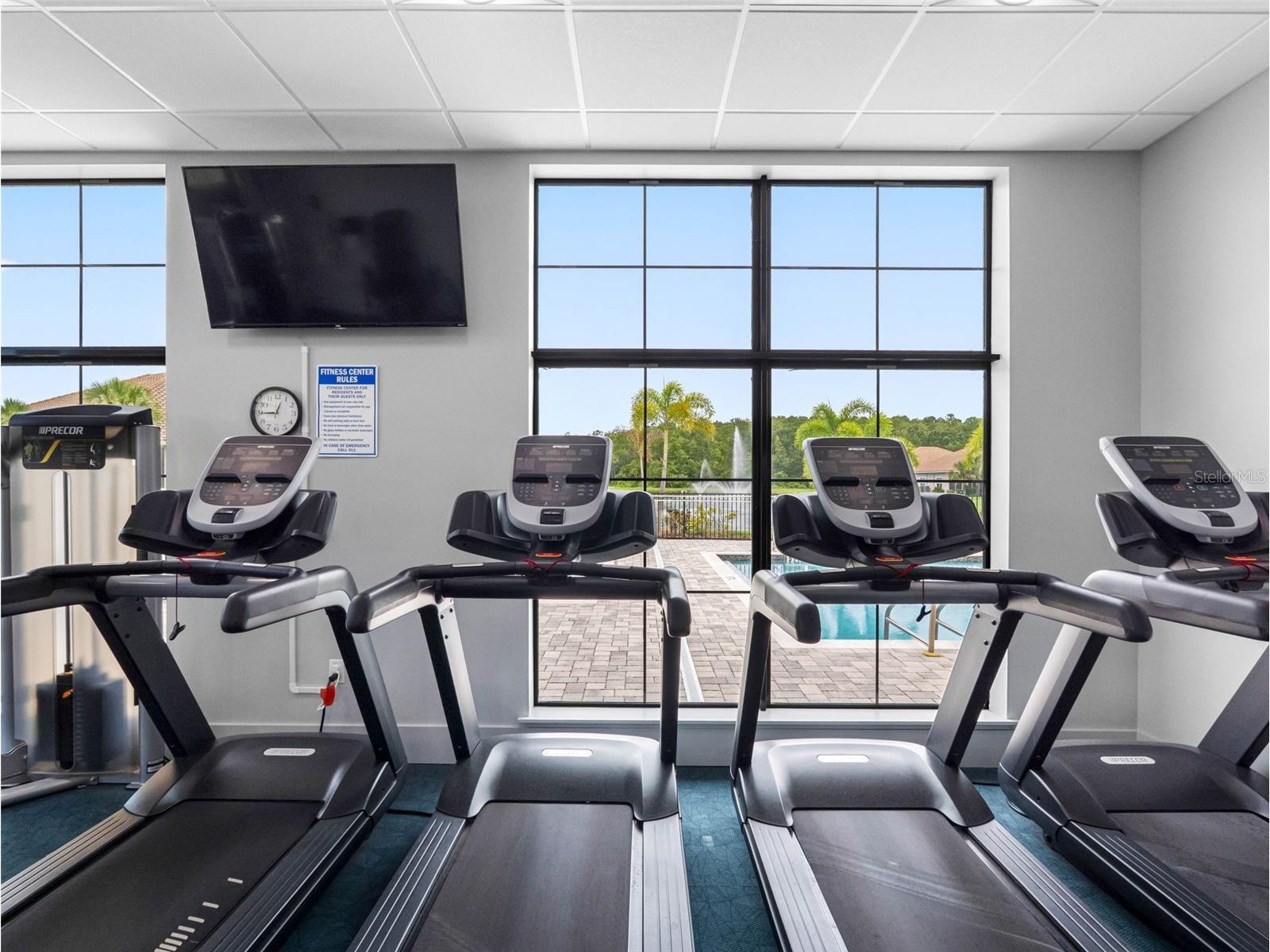 29800 Anand Vihar Drive Wesley Chapel FL 33543 TB8482025 image48