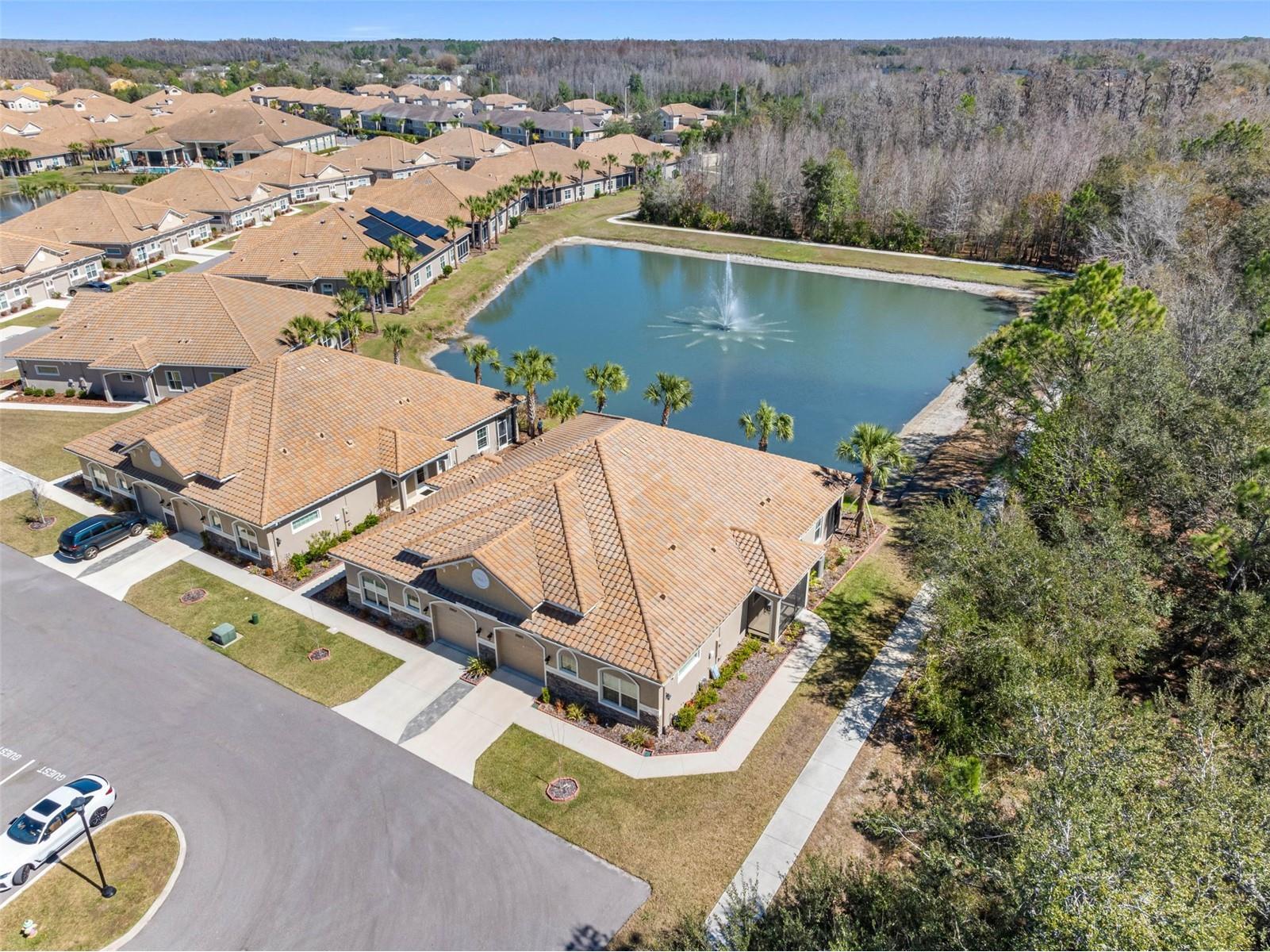 29800 Anand Vihar Drive Wesley Chapel FL 33543 TB8482025 image59