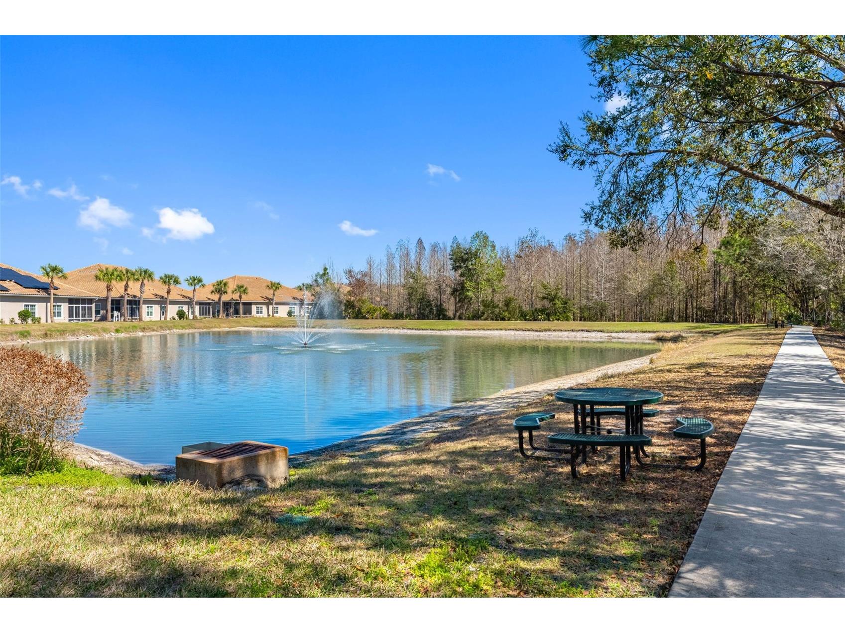 29800 Anand Vihar Drive Wesley Chapel FL 33543 TB8482025 image6