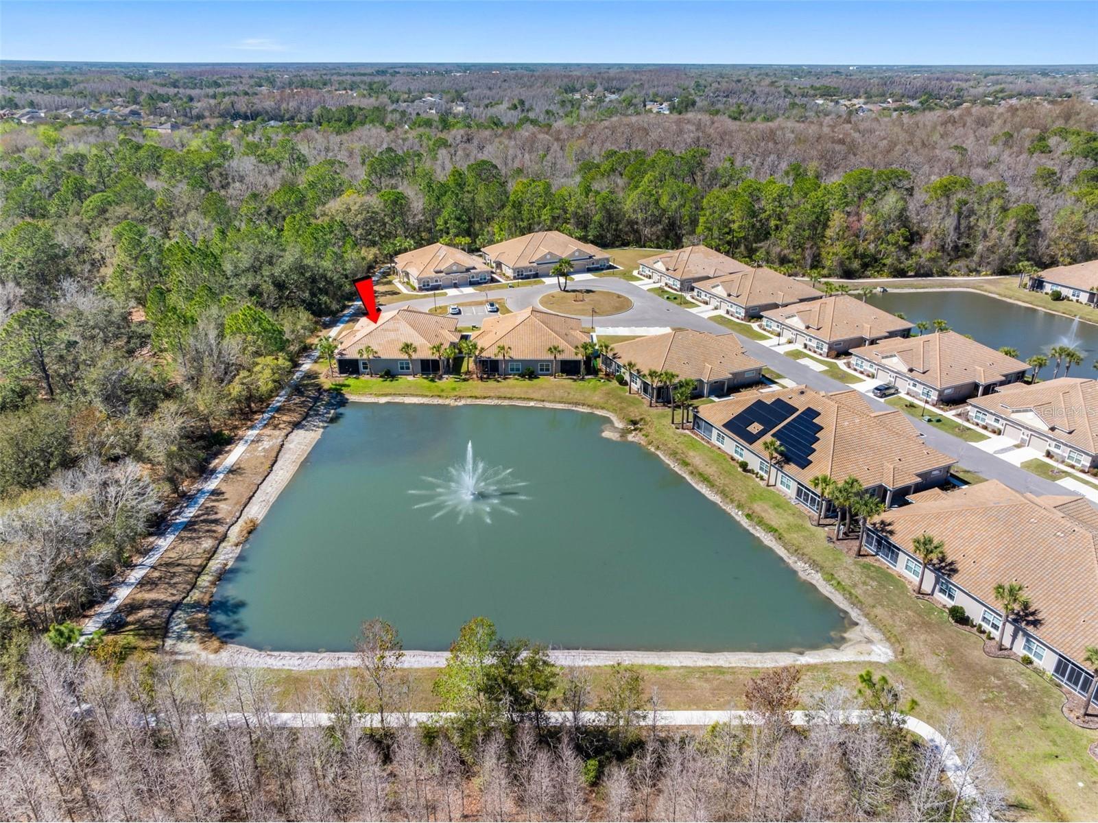 29800 Anand Vihar Drive Wesley Chapel FL 33543 TB8482025 image60