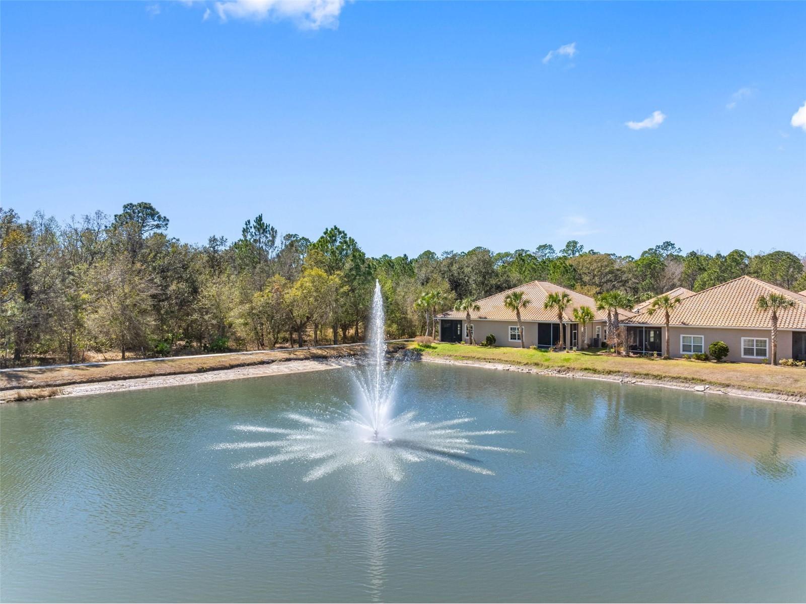 29800 Anand Vihar Drive Wesley Chapel FL 33543 TB8482025 image61