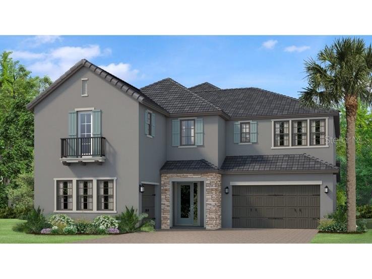 29802 Picana Lane Wesley Chapel FL 33543 T3412495 image1