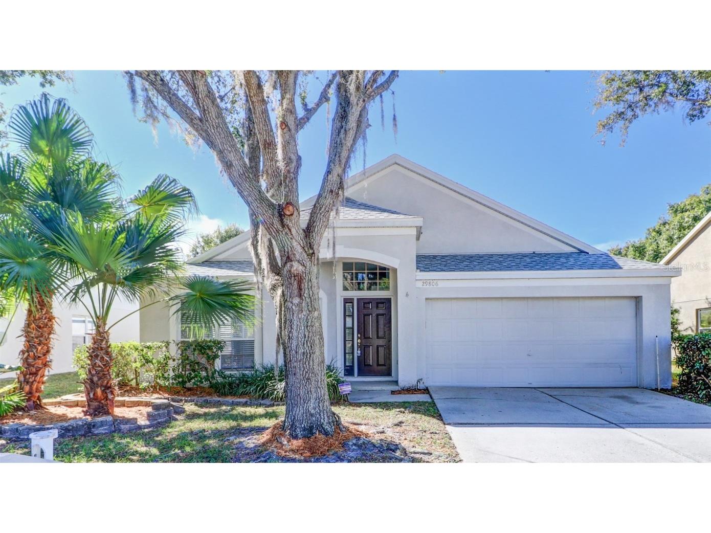 29806 Morningmist Drive Wesley Chapel FL 33543 T3481582 image1