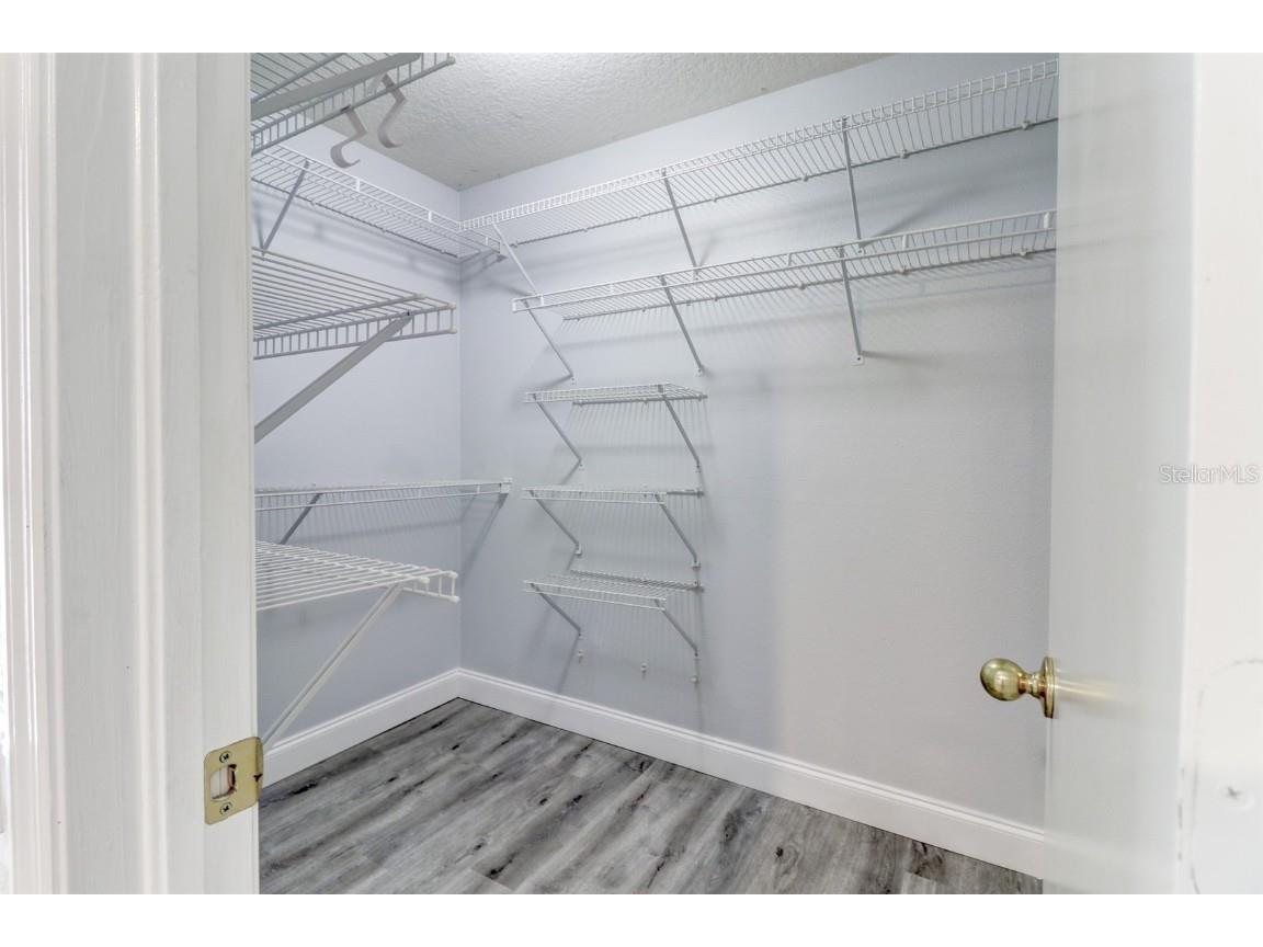 29806 Morningmist Drive Wesley Chapel FL 33543 TB8443603 image23