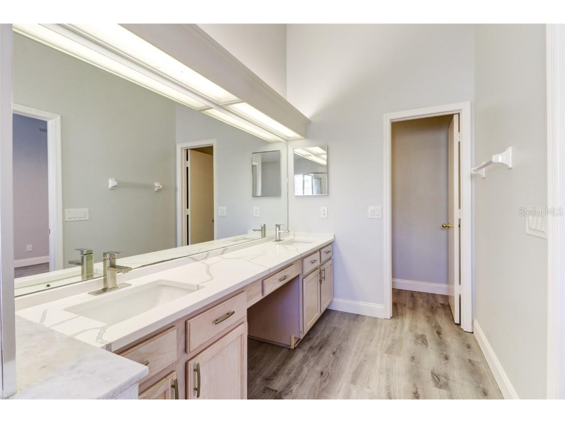 29806 Morningmist Drive Wesley Chapel FL 33543 TB8443603 image24