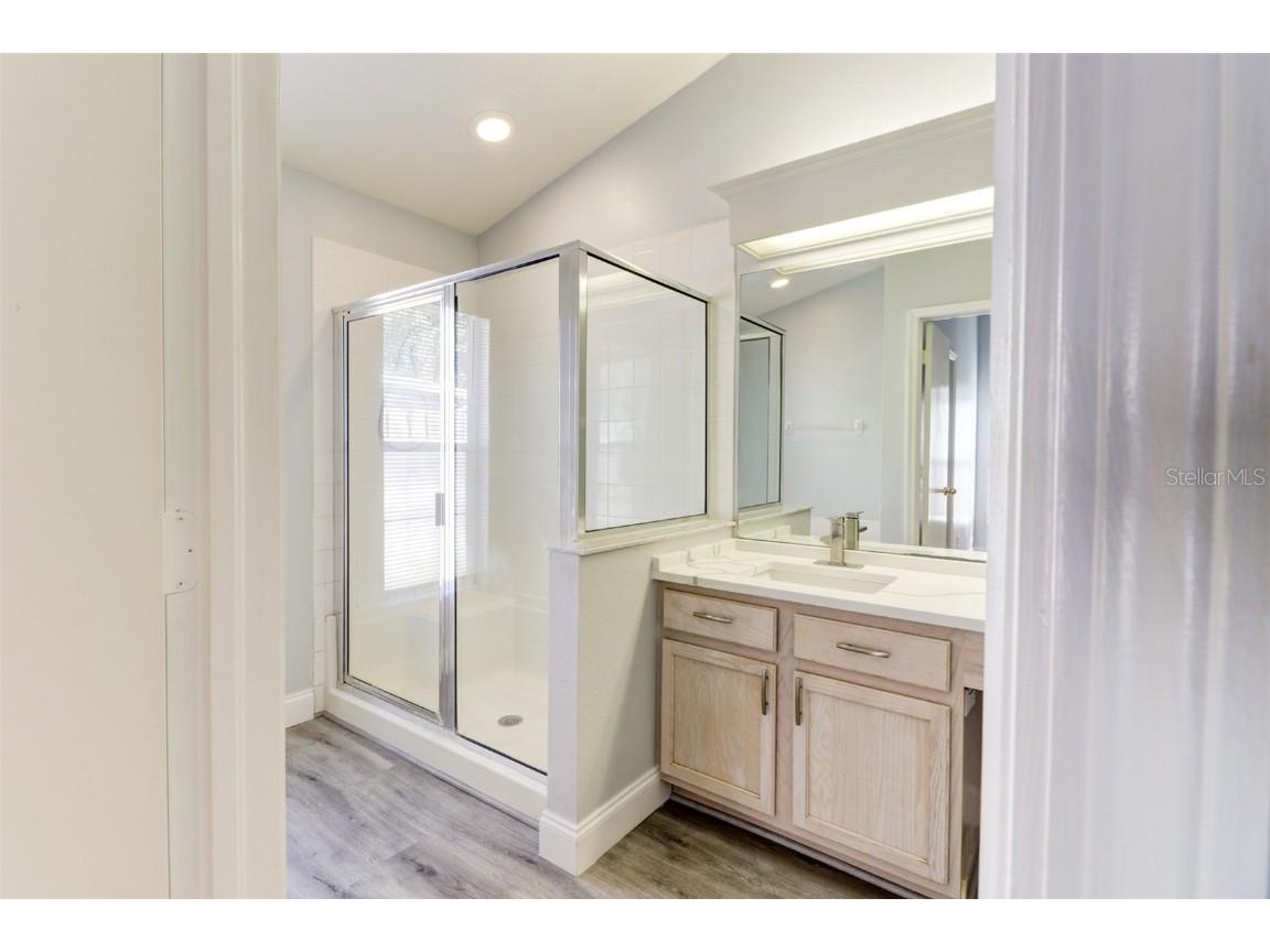 29806 Morningmist Drive Wesley Chapel FL 33543 TB8443603 image26