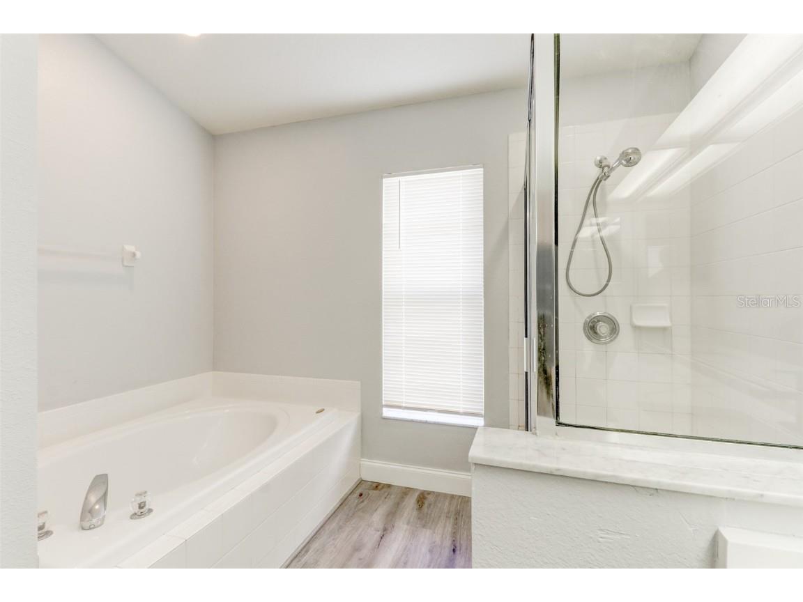 29806 Morningmist Drive Wesley Chapel FL 33543 TB8443603 image27