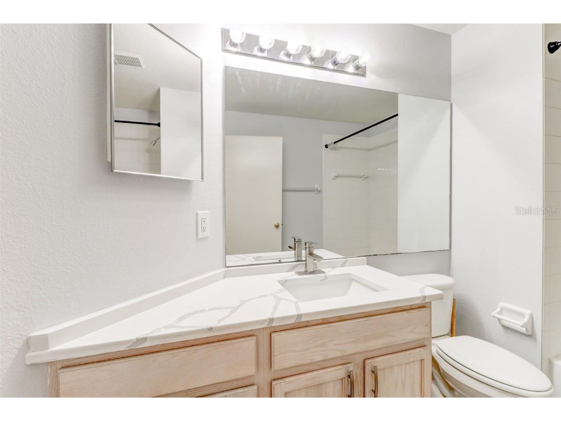 29806 Morningmist Drive Wesley Chapel FL 33543 TB8443603 image35