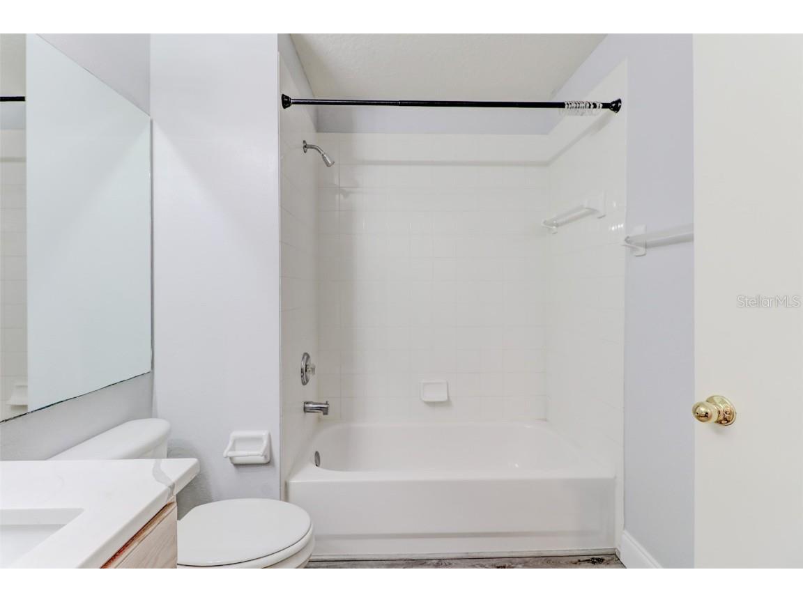 29806 Morningmist Drive Wesley Chapel FL 33543 TB8443603 image36