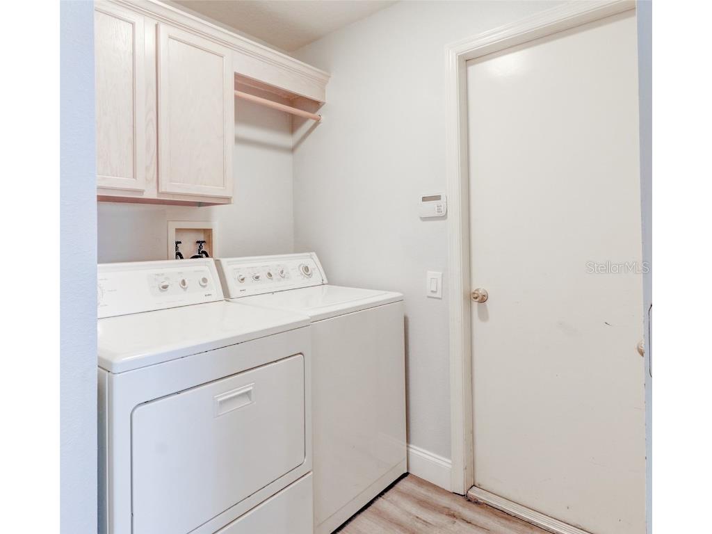 29806 Morningmist Drive Wesley Chapel FL 33543 TB8443603 image37