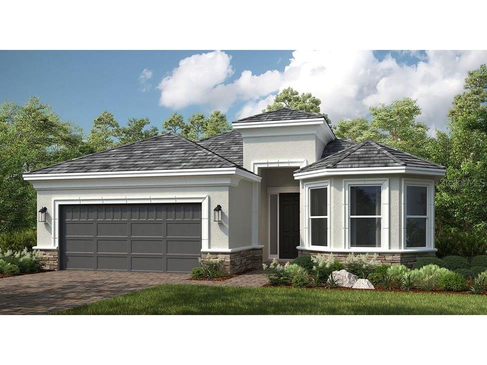 29807 Imperati Boulevard Wesley Chapel FL 33543 TB8383374 image1