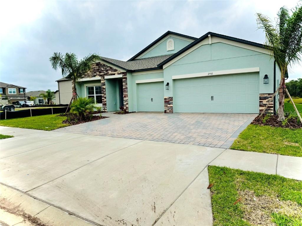 2981 Marine Grass Drive Wimauma FL 33598 J971380 image1