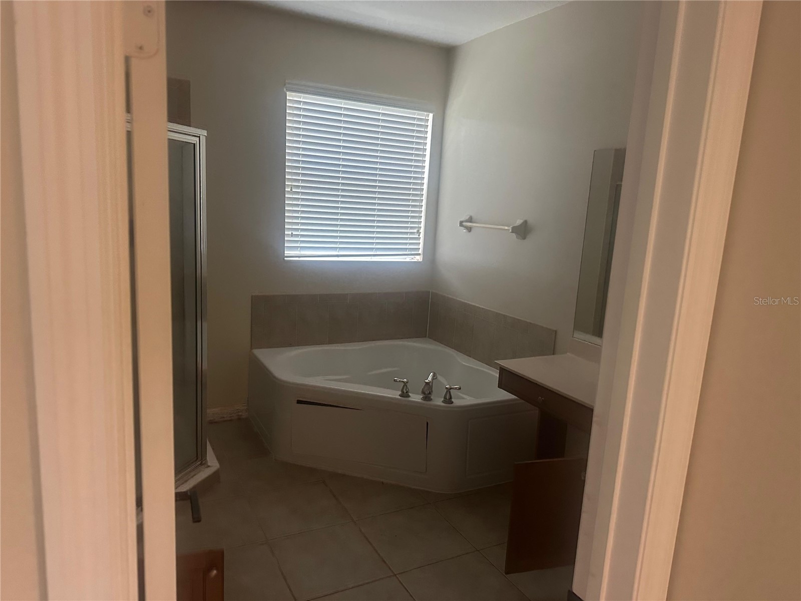 2981 Marshfield Preserve Way Kissimmee FL 34746 O6410372 image10