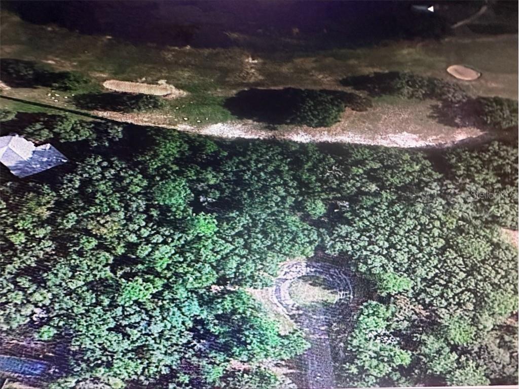 2981 W Challenge Court Citrus Springs FL 34434 A4597308 image4