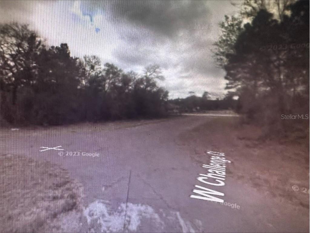 2981 W Challenge Court Citrus Springs FL 34434 A4597308 image5